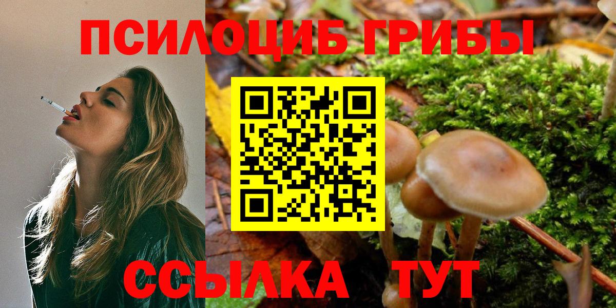 Галлюциногенные грибы MAGIC MUSHROOMS  Галлюциногенные грибы Magic Shrooms  Вход с VPN  Калининград 
