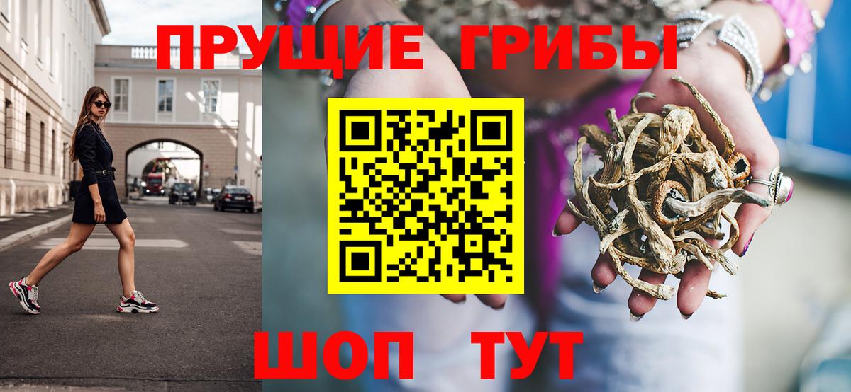 Псилоцибиновые грибы мухоморы Калининград