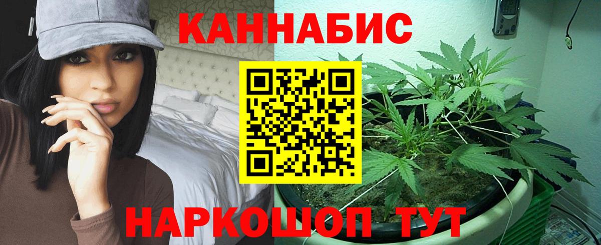 Бошки Шишки планчик Калининград